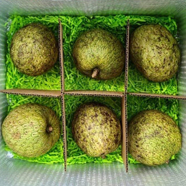Mountain Soursop Box